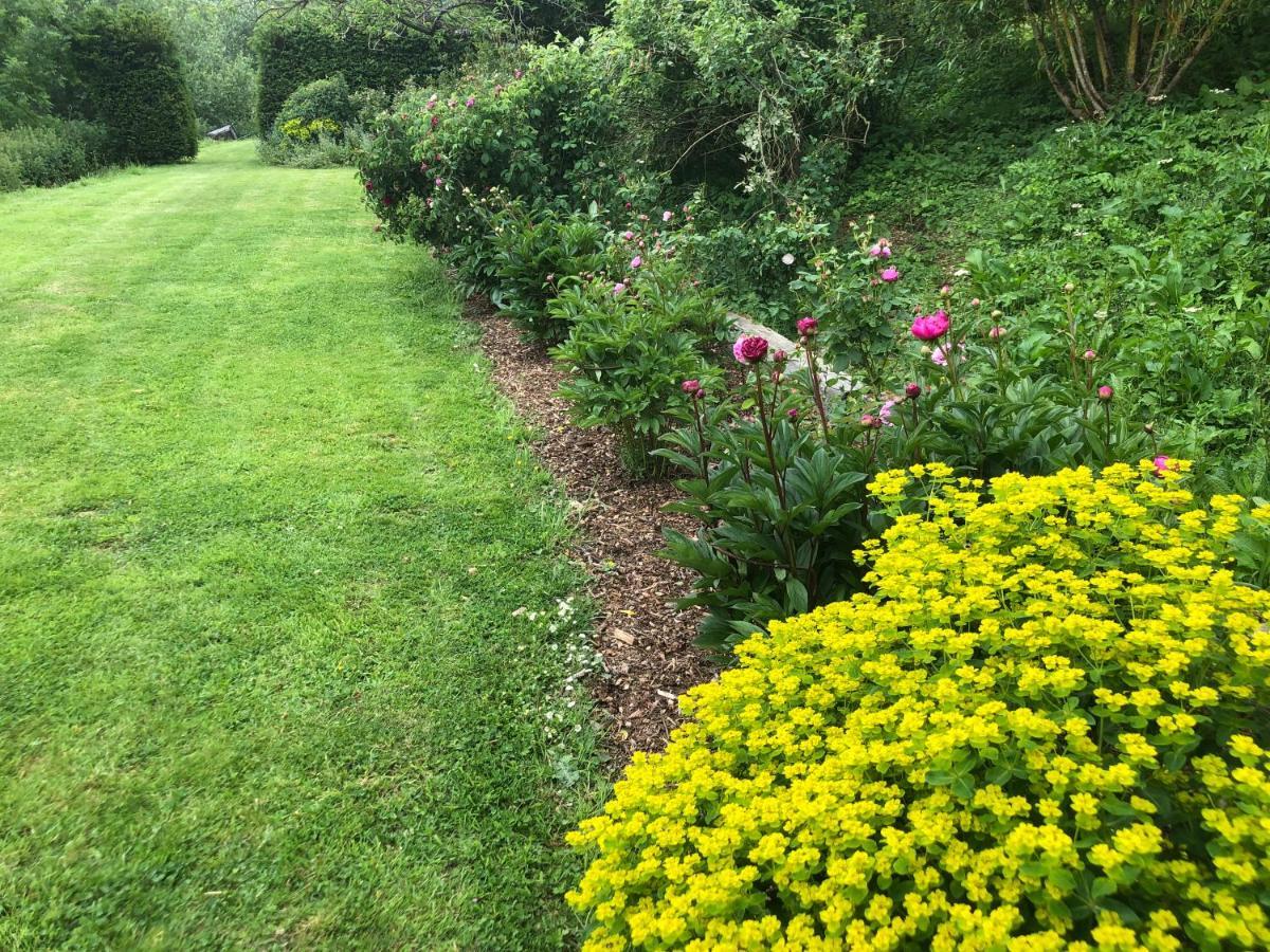 Jasmine Cottage Frome Bagian luar foto